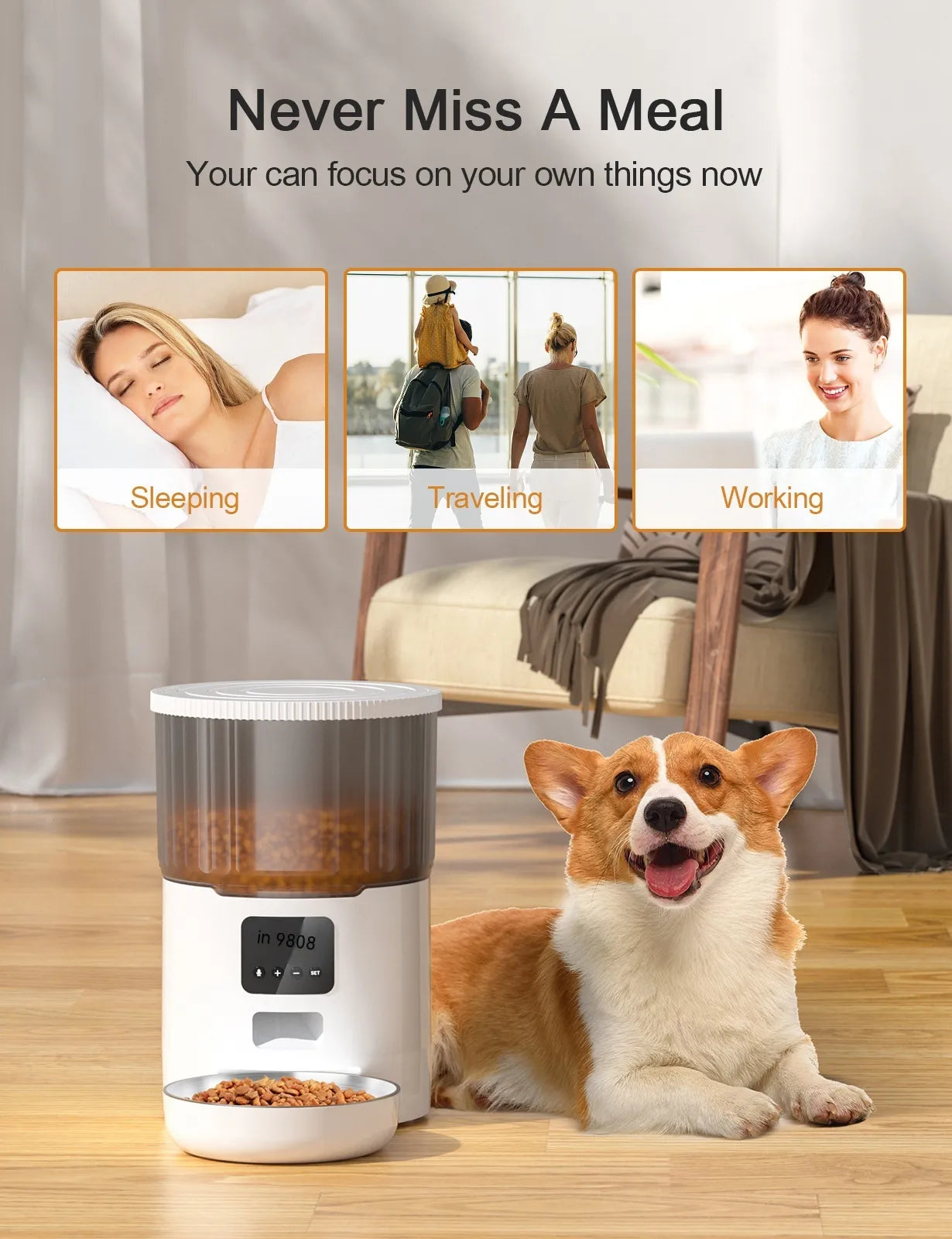 Smart Dual Pet Automatic Feeder